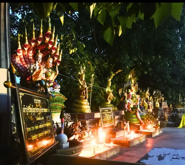 คำชะโนด