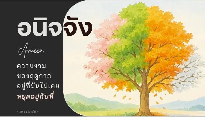 อนิจจัง คืออะไร? 9 เรื่องเชื่อมโยงทุกมิติ จากพุทธธรรมถึง Amazon