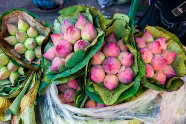 ช่อดอกบัว